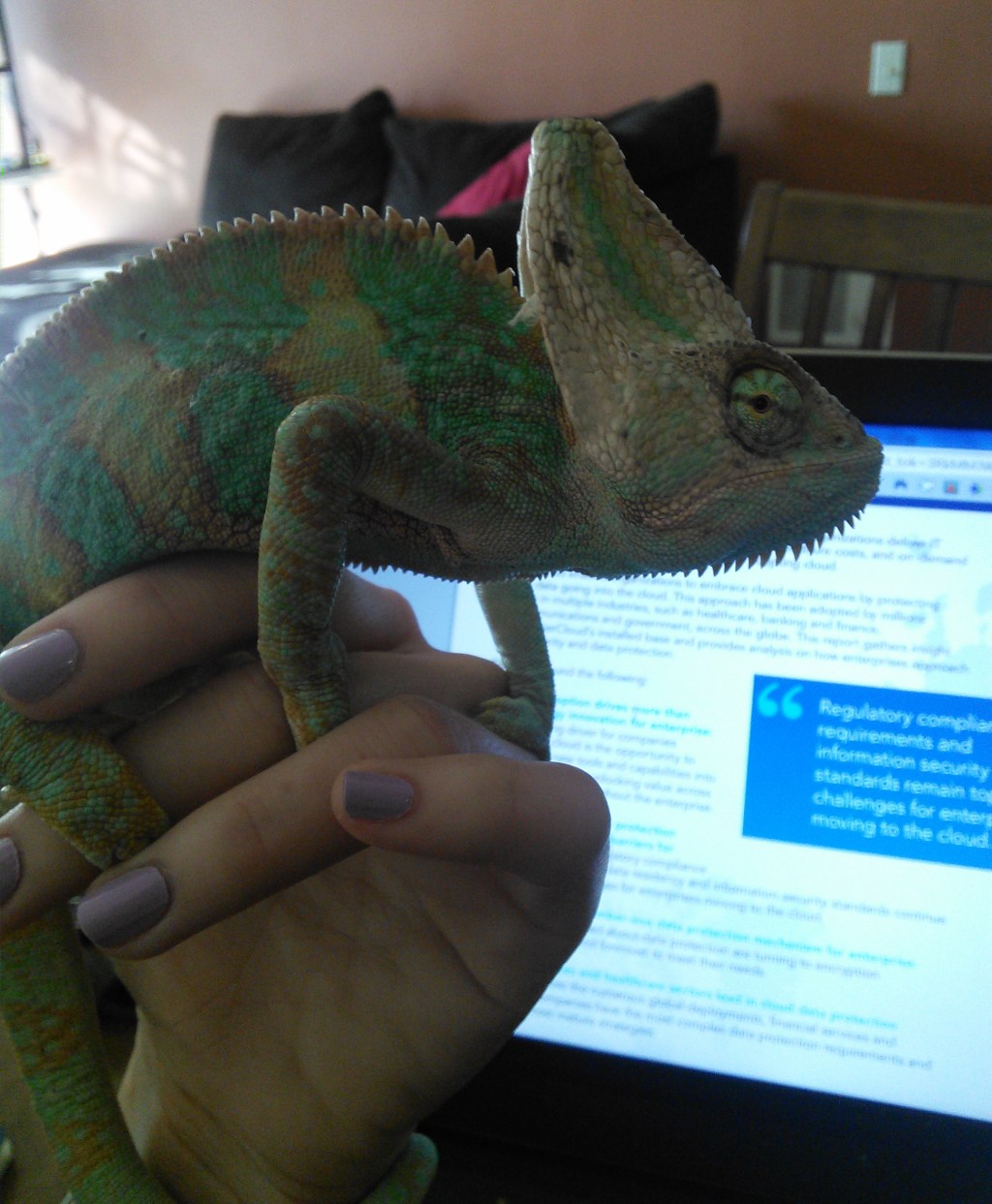 The Worst Masks I’ve Ever&nbsp;Tried…