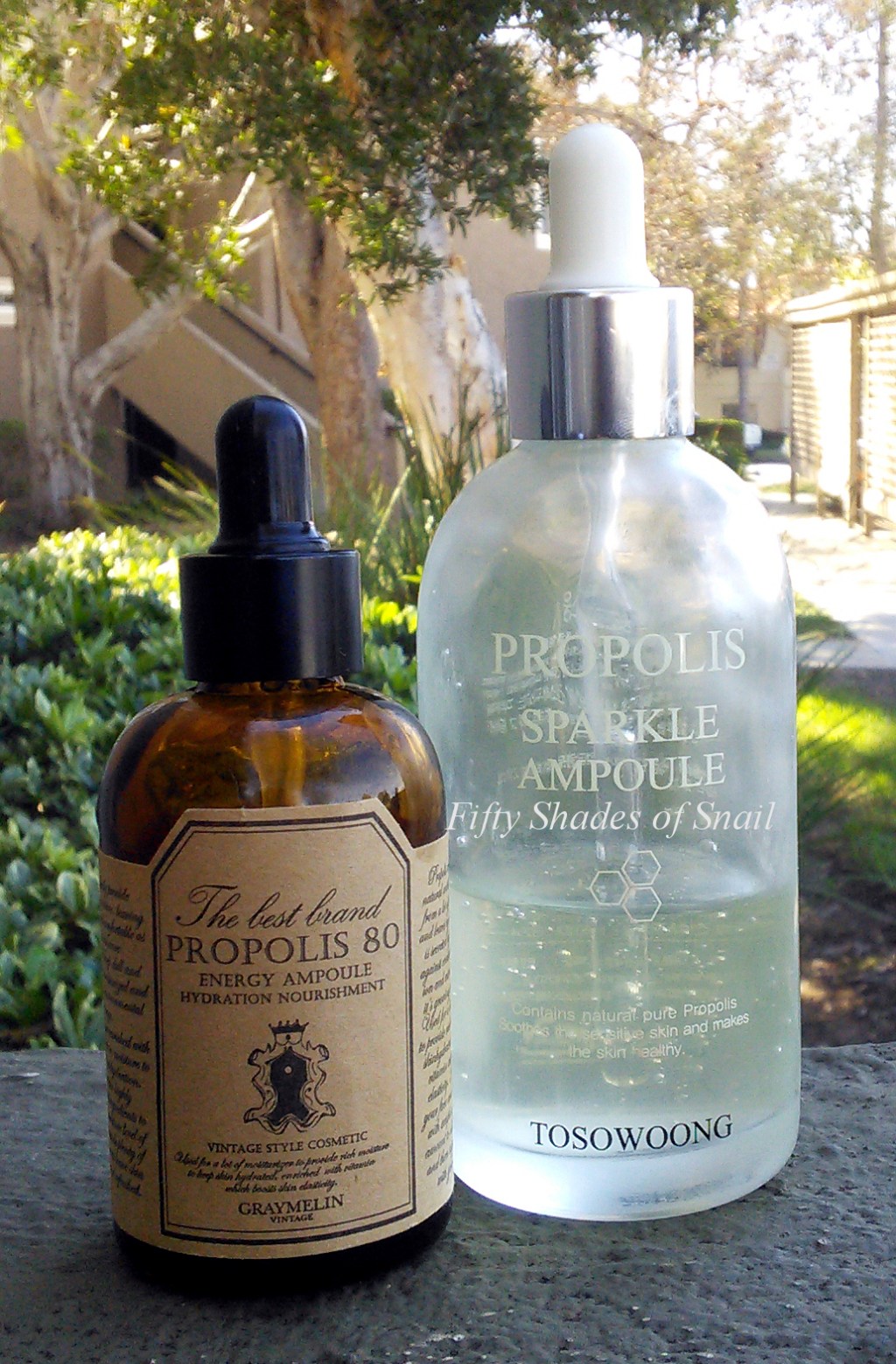 Propolis Ampoule Mega Battle: Tosowoong Propolis Sparkle Ampoule vs. Graymelin Propolis 80 Energy&nbsp;Ampoule
