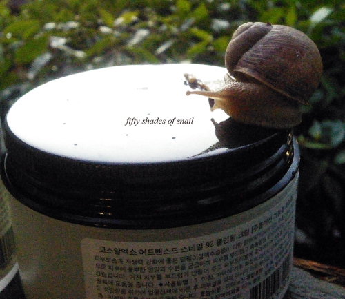 Jar of Cosrx snail cream