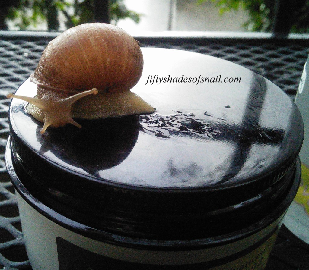 COSRX Advanced Snail 96 Mucin Power Essence and COSRX Advanced Snail 92 All In One Cream&nbsp;Reviews