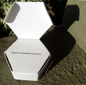 Ayu Co Beautiful Roses Ultra Rich Lip Treatment