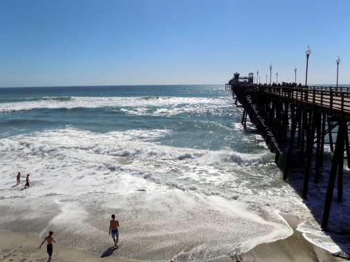 Fifty Shades of Snail announcement