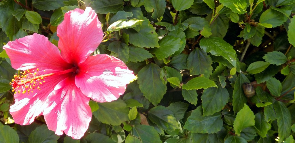 Introducing: SNS Saturdays!