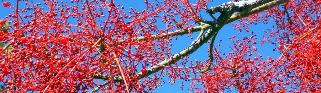 Smart Skincare Shopping: Managing Skincare Product&nbsp;Expectations