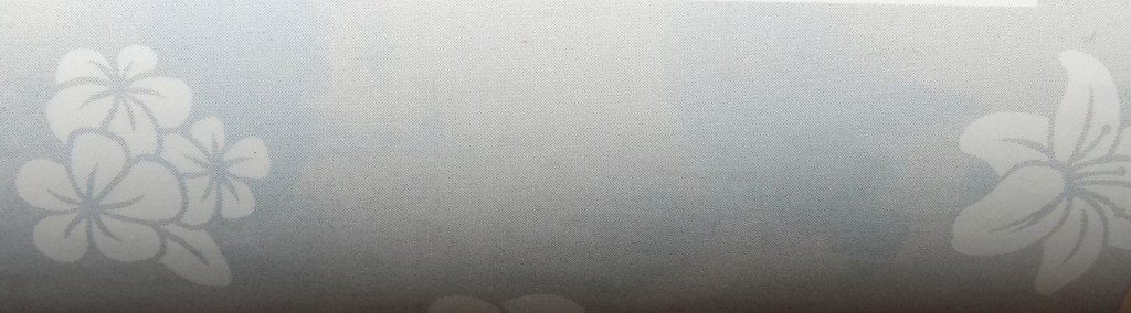 Spring/Summer 2016 Flops and Faves, Part 3: Yet More Hanbang + the Return of the AHA