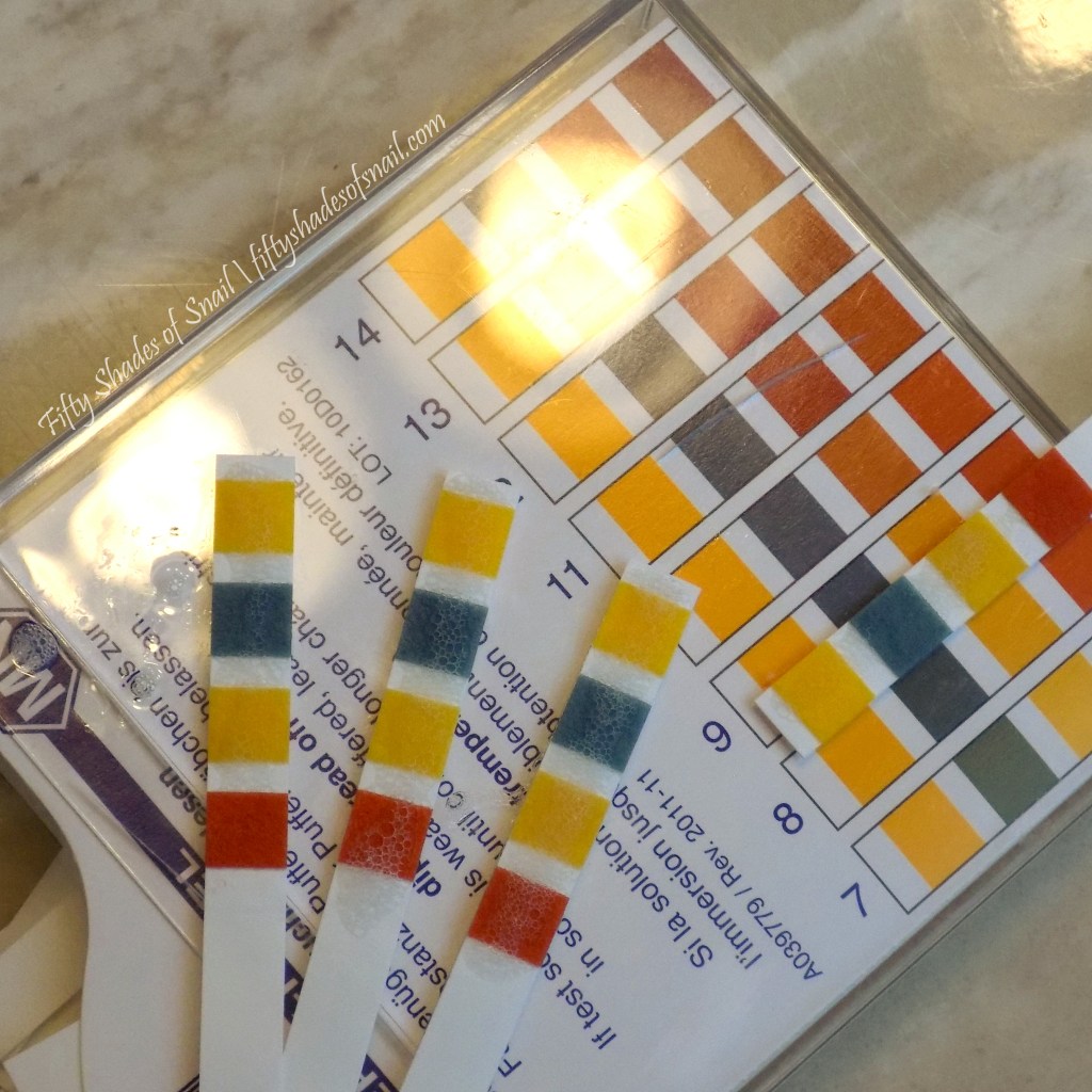 Playing Devil’s Advocate with My Face: The Treeannsea Liquide Mousse Foam&nbsp;Review