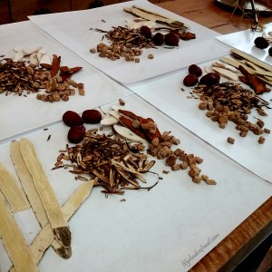 Chinese medicinal herbs