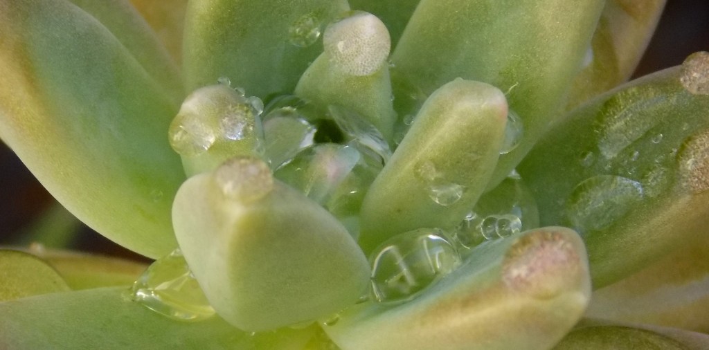 On Skin Woes, Self-Esteem, and&nbsp;Self-Love