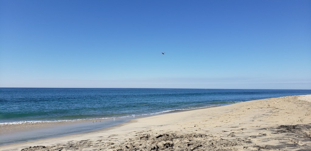 Snails send self care