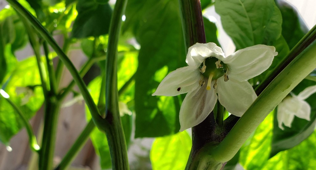 Off-Blog: 10-Minute Skincare Routines and BTS x Mediheal Mask&nbsp;Review