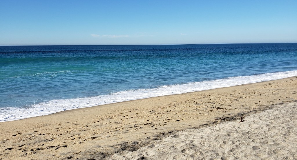 Thoughts on the Purito Centella Unscented Sun&nbsp;Controversy